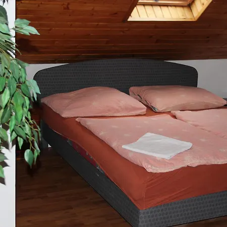 Guest house U Zlateho Selatka Kladno
