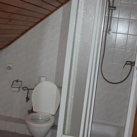 U Zlateho Selatka Guest house 3*