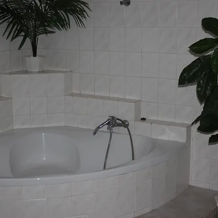 U Zlateho Selatka Guest house Kladno