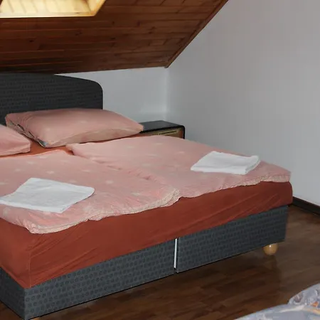 Guest house U Zlateho Selatka 3*